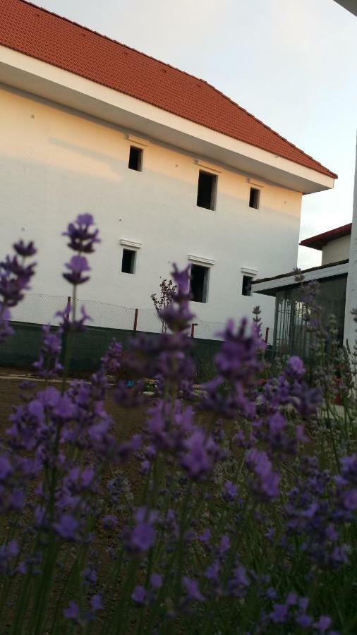 Hotel Sunny Border (Adults Only) Vama Veche Exterior foto